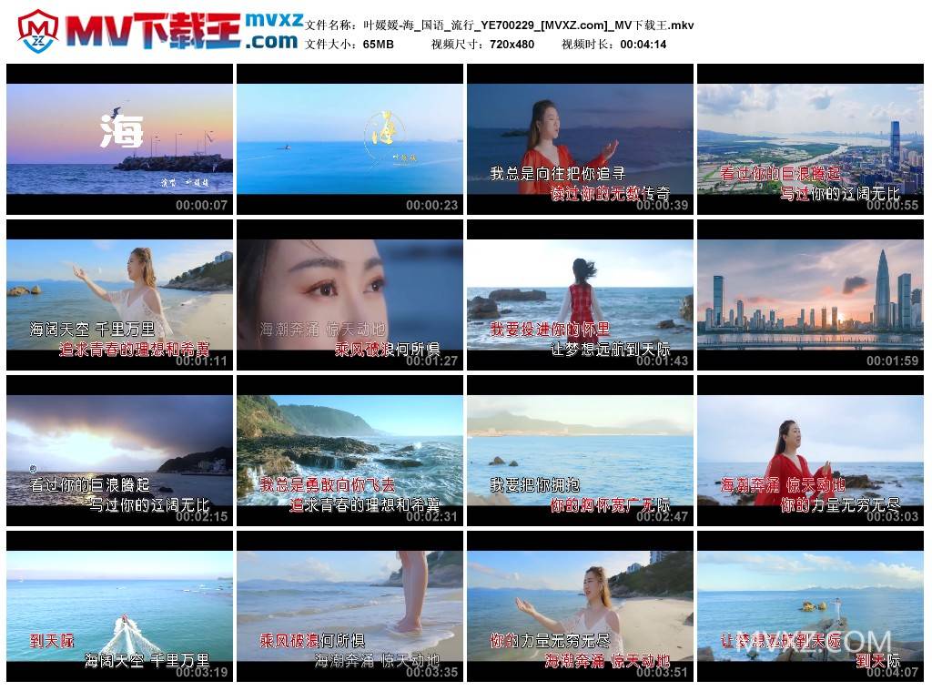 叶媛媛-海_国语_流行_YE700229